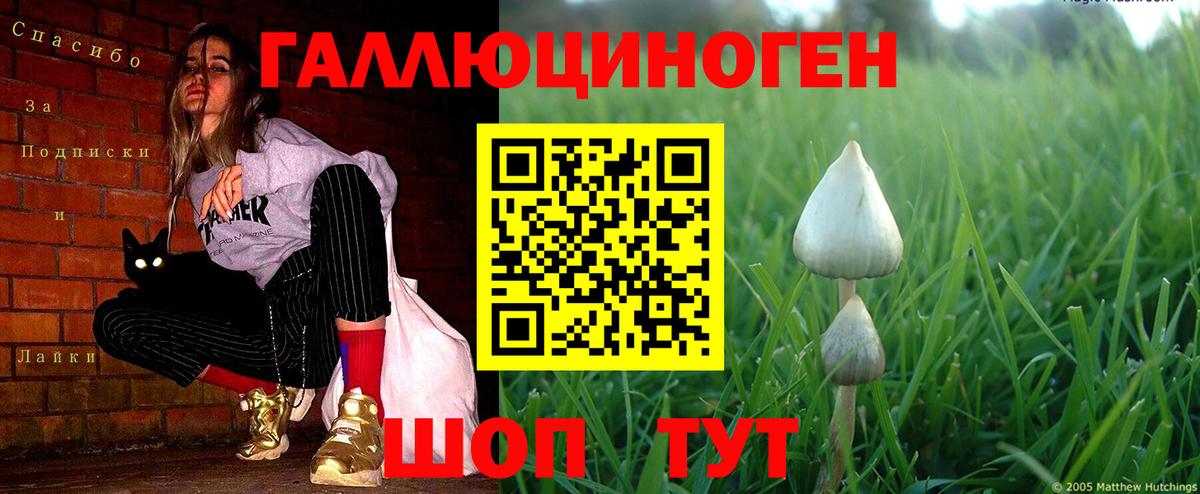 Псилоцибиновые грибы ЛСД  Вход с VPN  Елец 